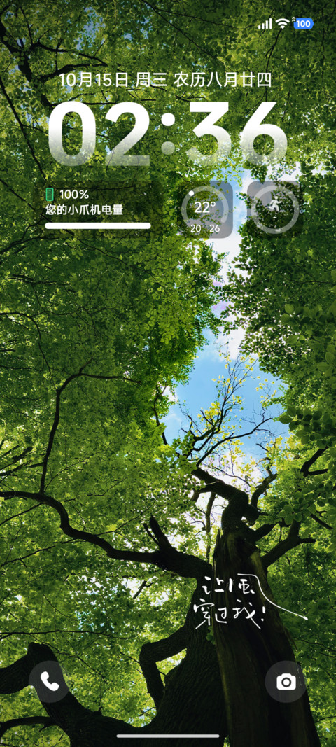 ins风吹叶语 screenshot