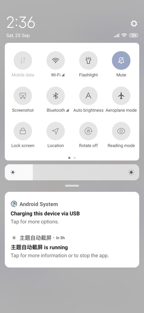 Blue simple bear screenshot