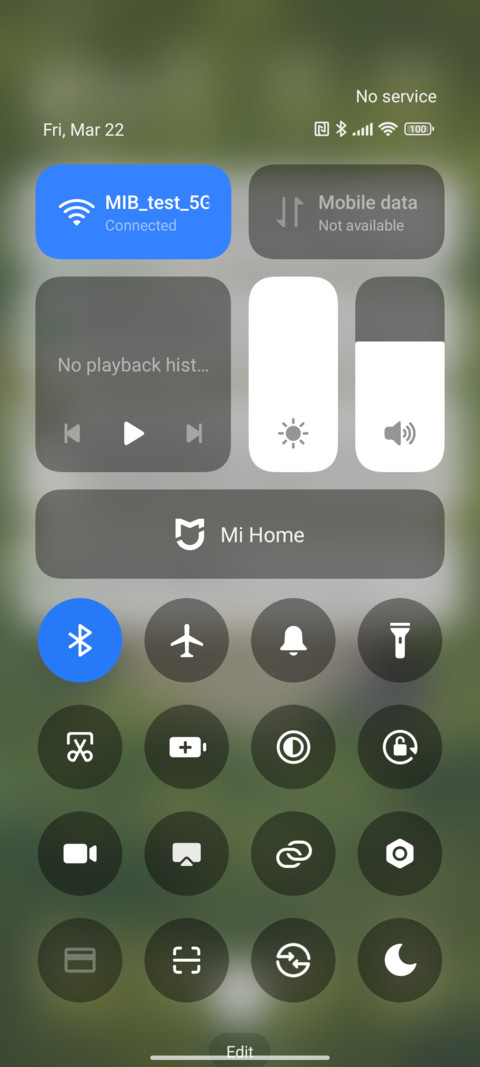 Brown Turtle screenshot