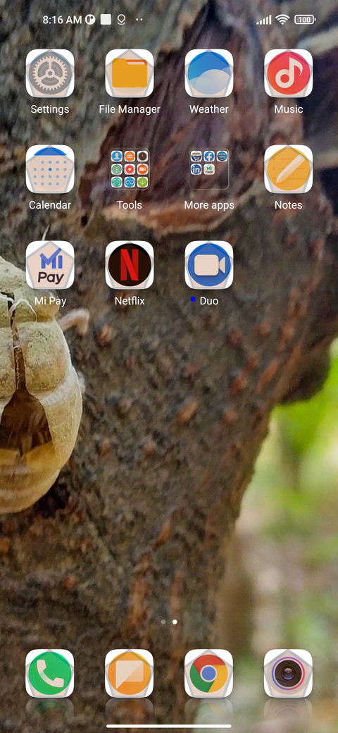 Insect screenshot