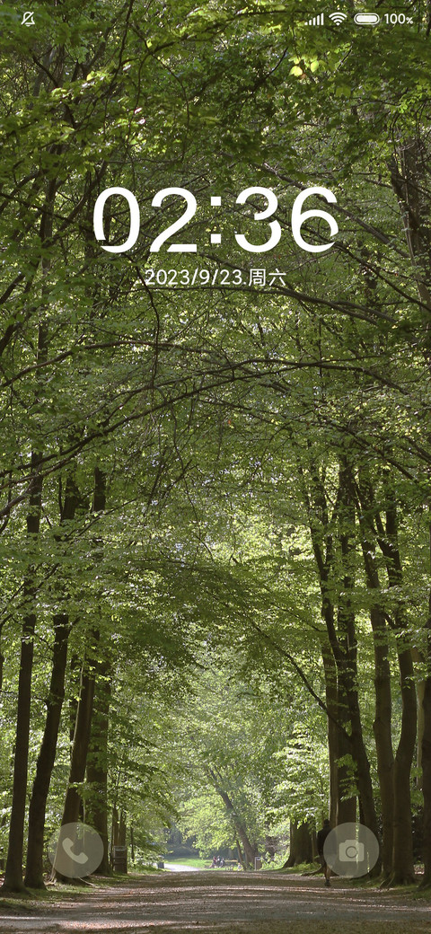 树先生护眼治愈 screenshot