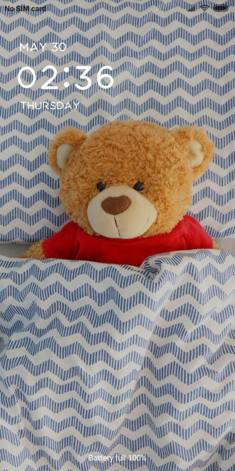 TEDDY_DWM19 screenshot