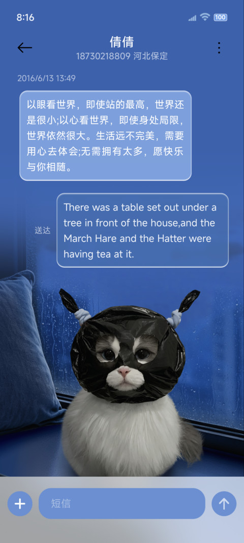 ins蓝调小猫涂鸦 screenshot
