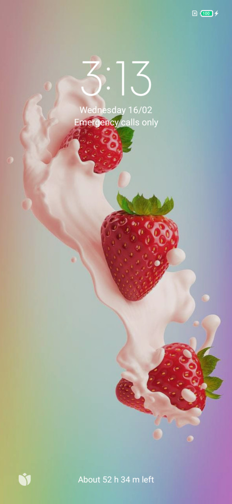 F2t0u2o screenshot
