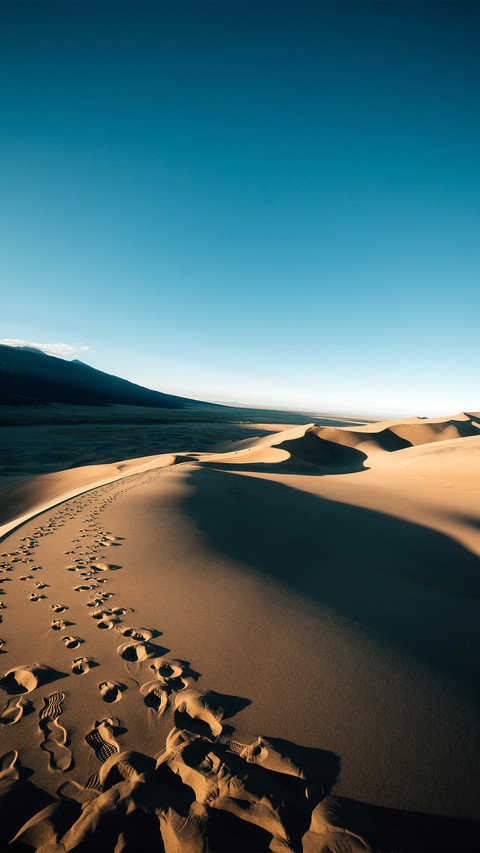 Sand dunes and ruts screenshot