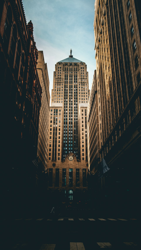 Urban Jungle (8) screenshot