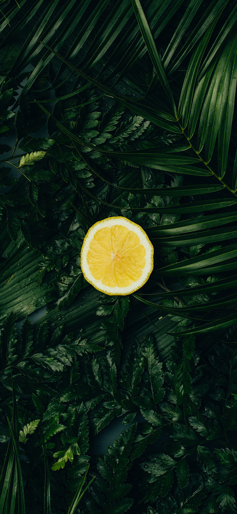 Delicious Fruits-PAIXIN screenshot