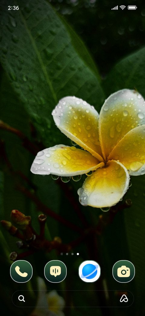 Dew Bloom screenshot