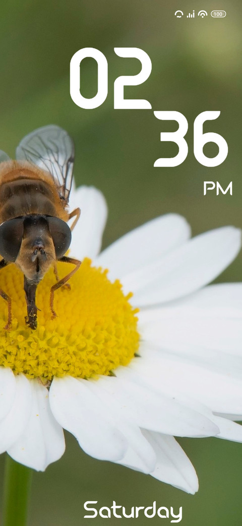 Insect screenshot