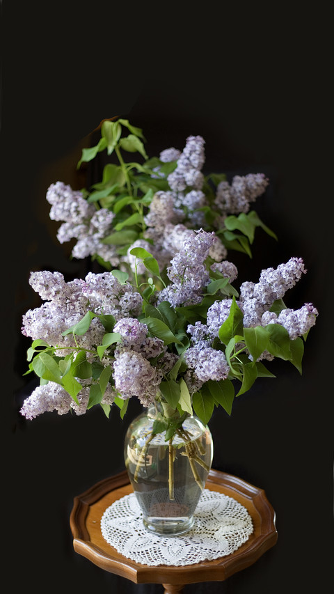 Essential Flower Arrangement Techniques for Florists 37 screenshot