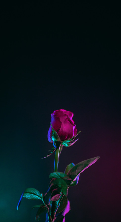 Android HD (43) screenshot