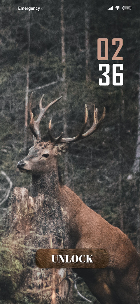 Deer Feel screenshot