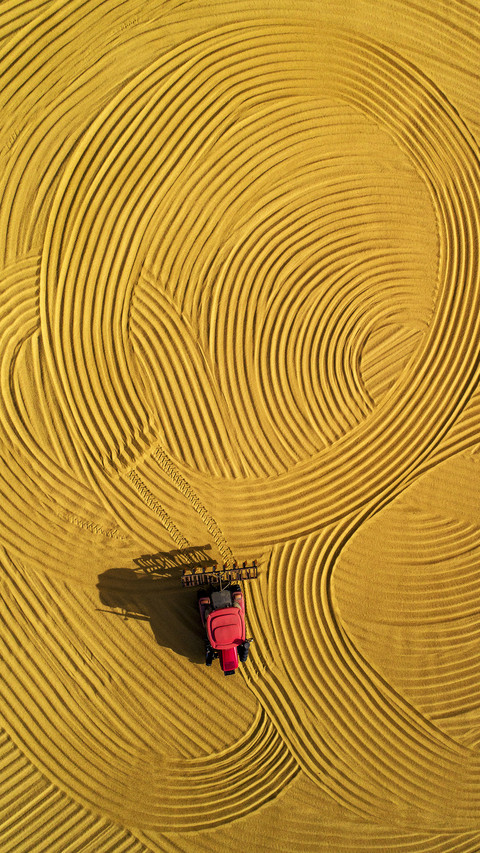 The picture of harvest is so beautiful 24 screenshot