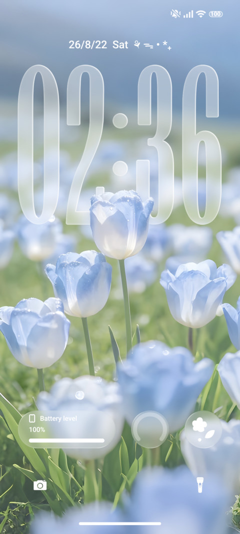 Flower Transparent screenshot