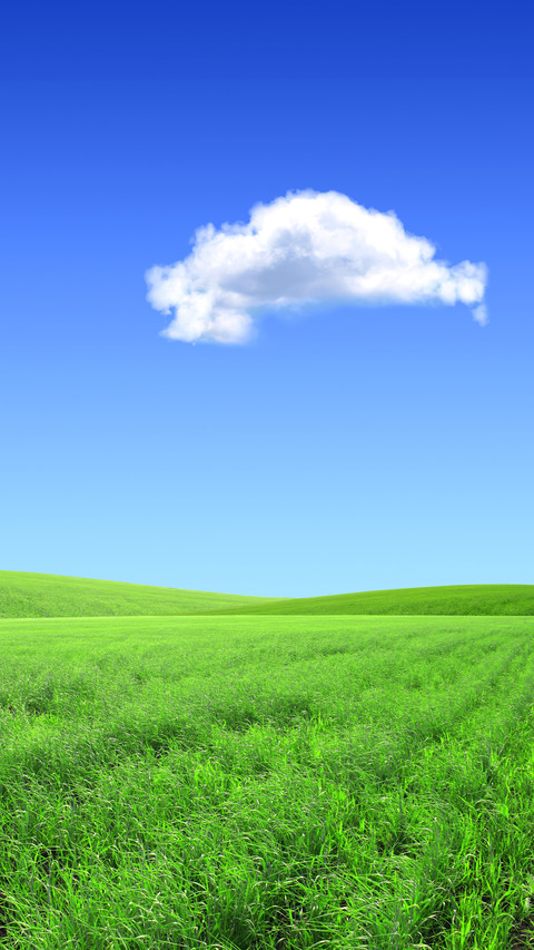 Green grass and blue sky screenshot