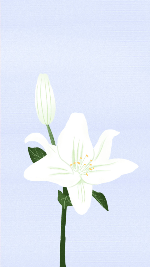 植物少女-视觉中国 screenshot