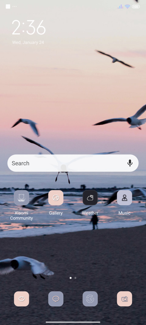 Seagull screenshot