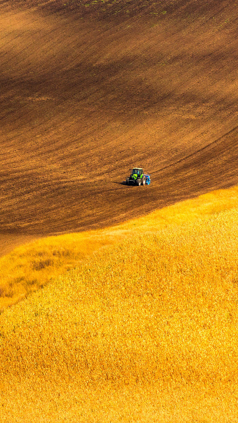 Autumn landscapes in South Moravia screenshot