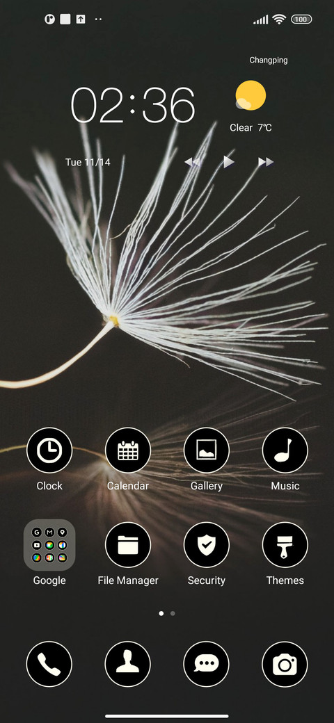 minimal dandelion screenshot