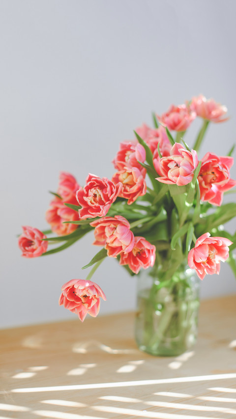 Pink peony tulips in a glass jar are standing screenshot