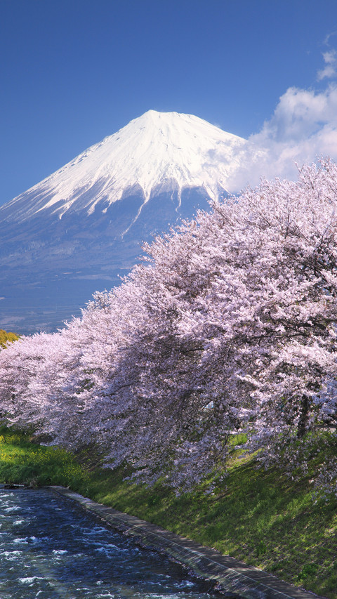 Chinese Travelers in Japanese Eyes 6 screenshot
