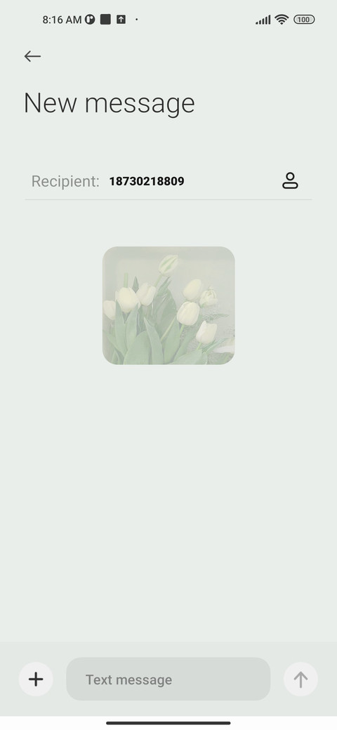 Green in spring screenshot