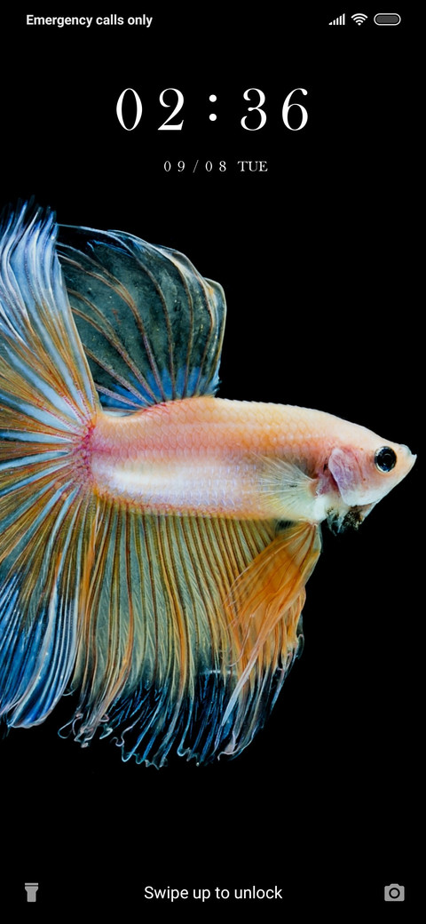 Fish_3MDS screenshot