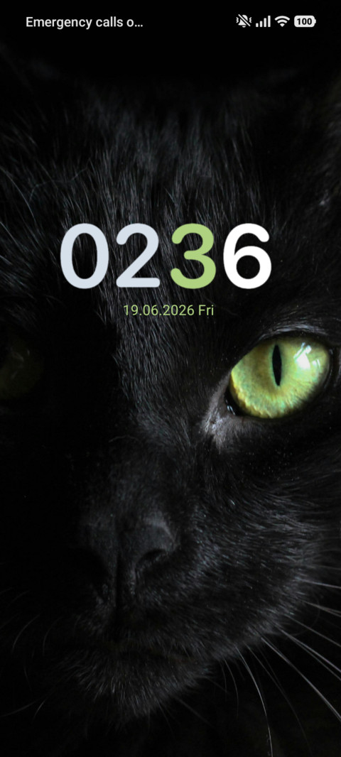 The Look screenshot