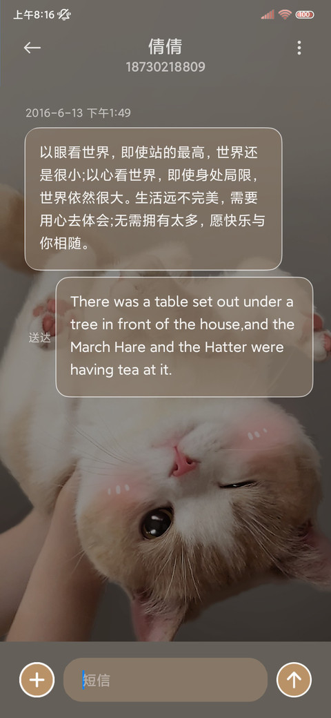 倒立橘味小猫 screenshot
