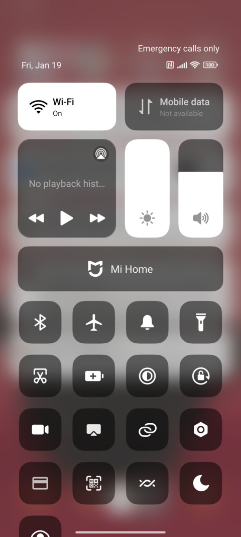 Hamster R screenshot