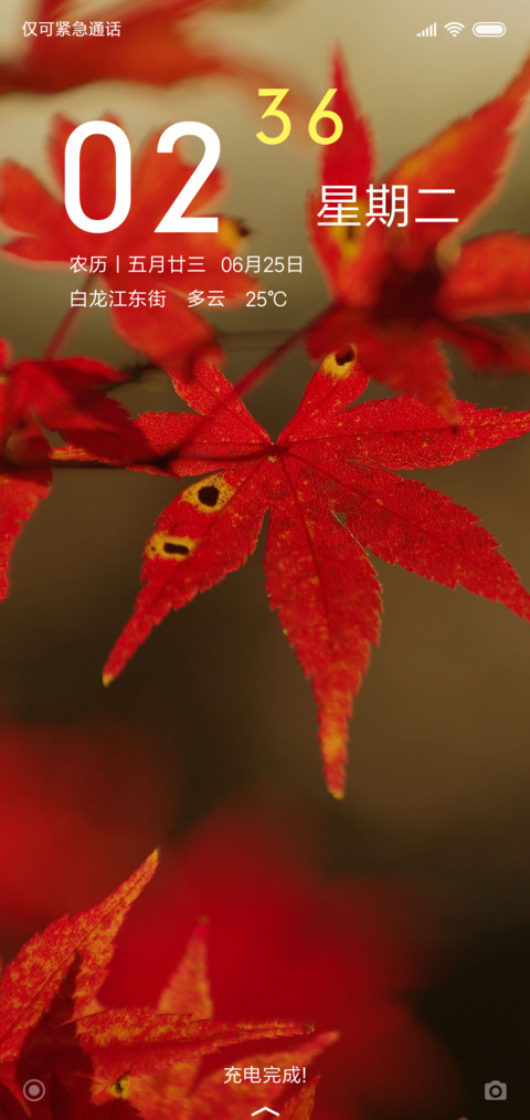 枫林晚 screenshot