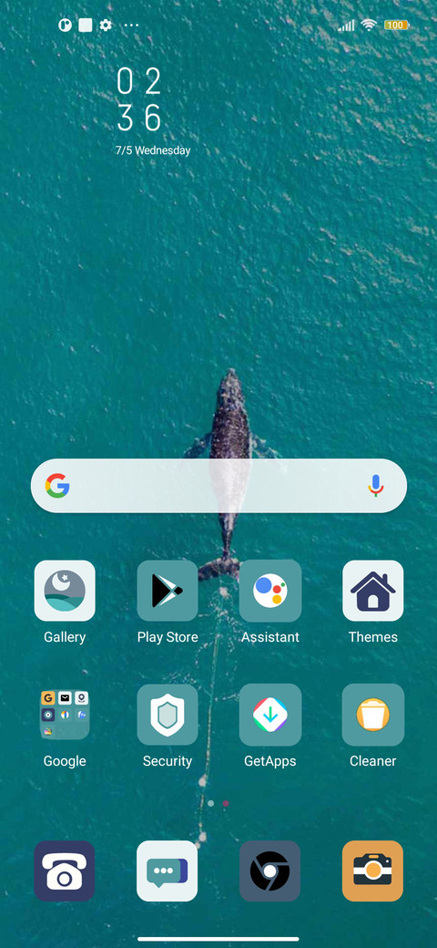 Whale emergence screenshot