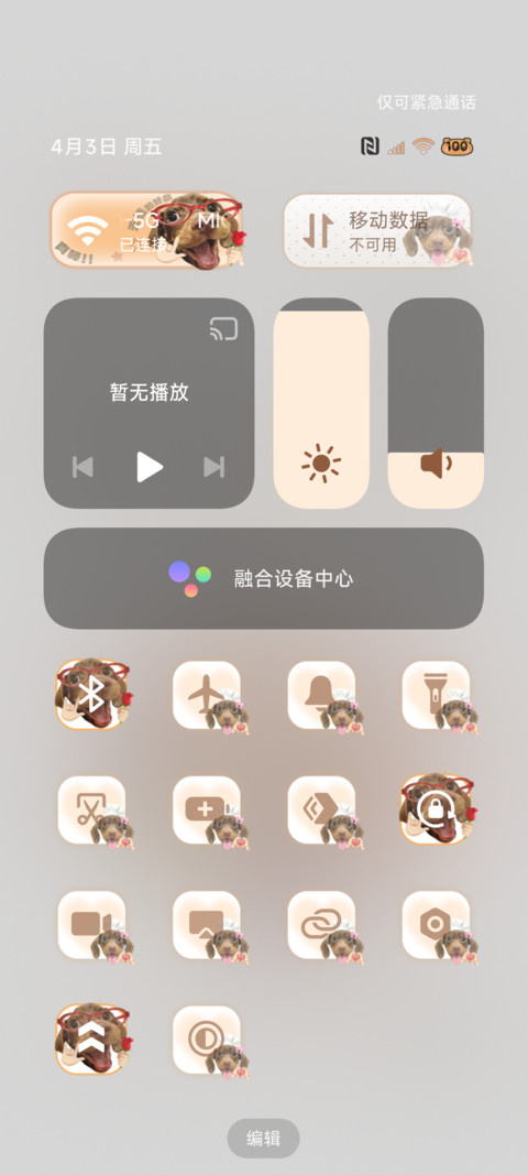 腊肠小狗搞怪壁纸 screenshot
