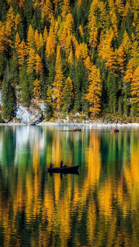 Lake in autumn screenshot