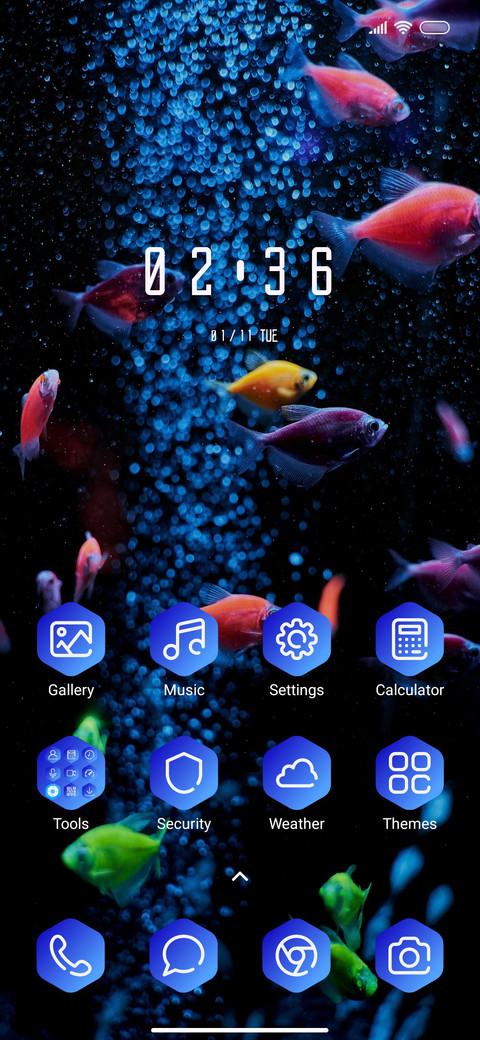 Aquarium screenshot