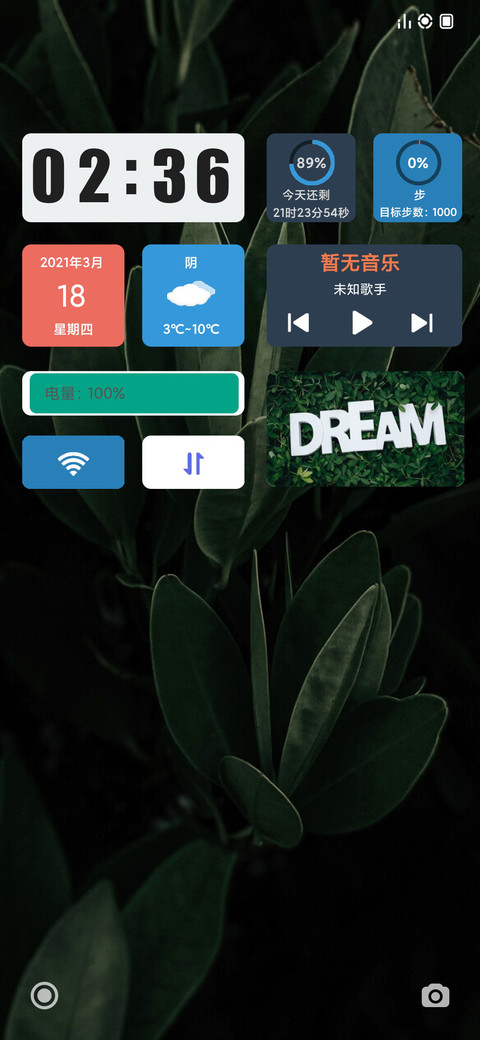 Widget screenshot
