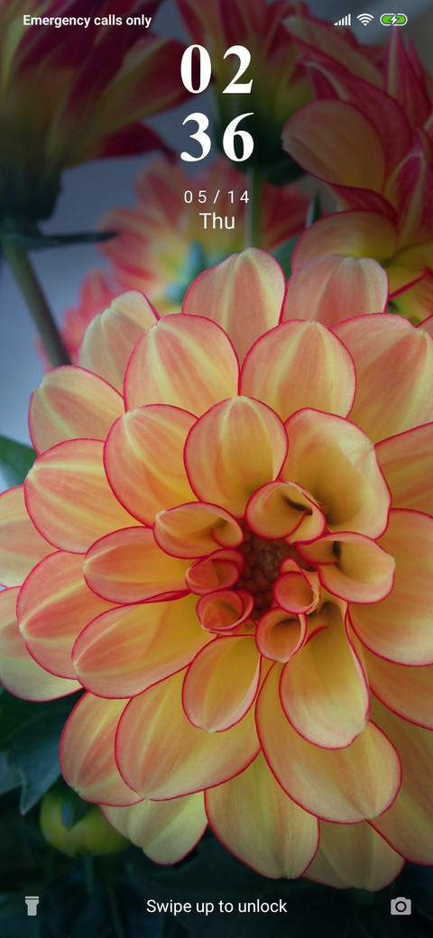 Dahlia_3MDS screenshot