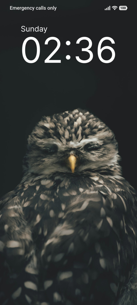 Monochrome Feather screenshot