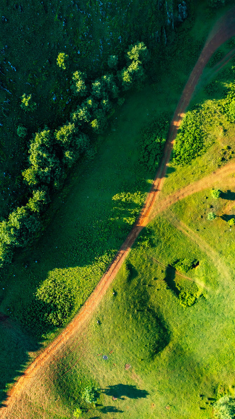 The road on the meadow screenshot