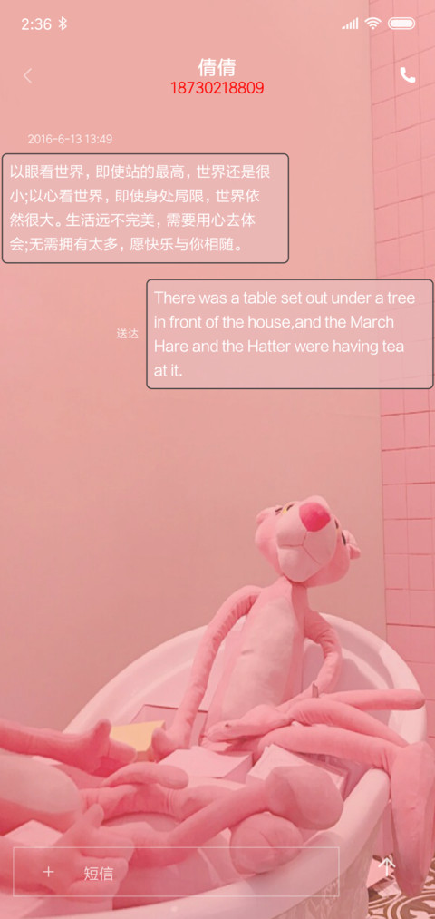 PINK screenshot