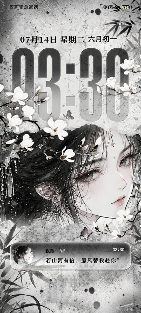OS 国风墨影惊鸿 screenshot