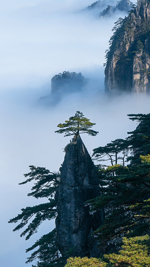 奔赴黄山 聆听自然 screenshot
