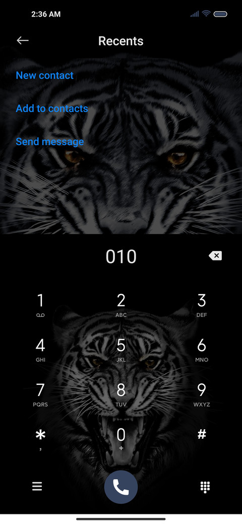 Roaring tiger screenshot