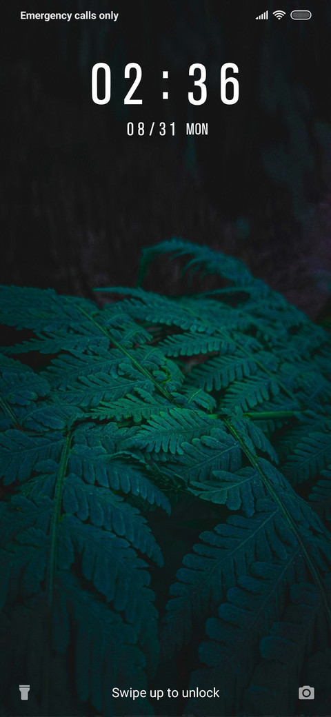 Leaves_3MDS screenshot