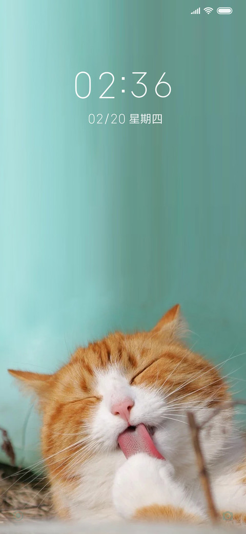 我是一橘猫 screenshot