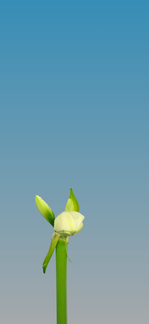 超级行为 screenshot