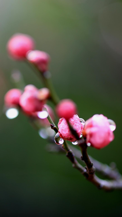 “美”与“德” screenshot