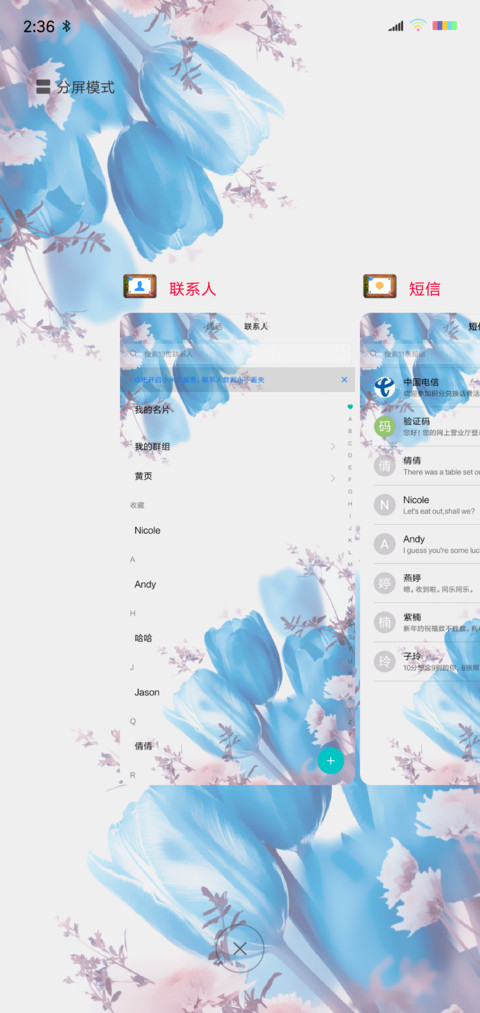 唯美郁金香 screenshot