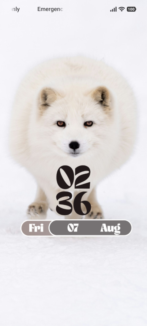Arctic Fox screenshot