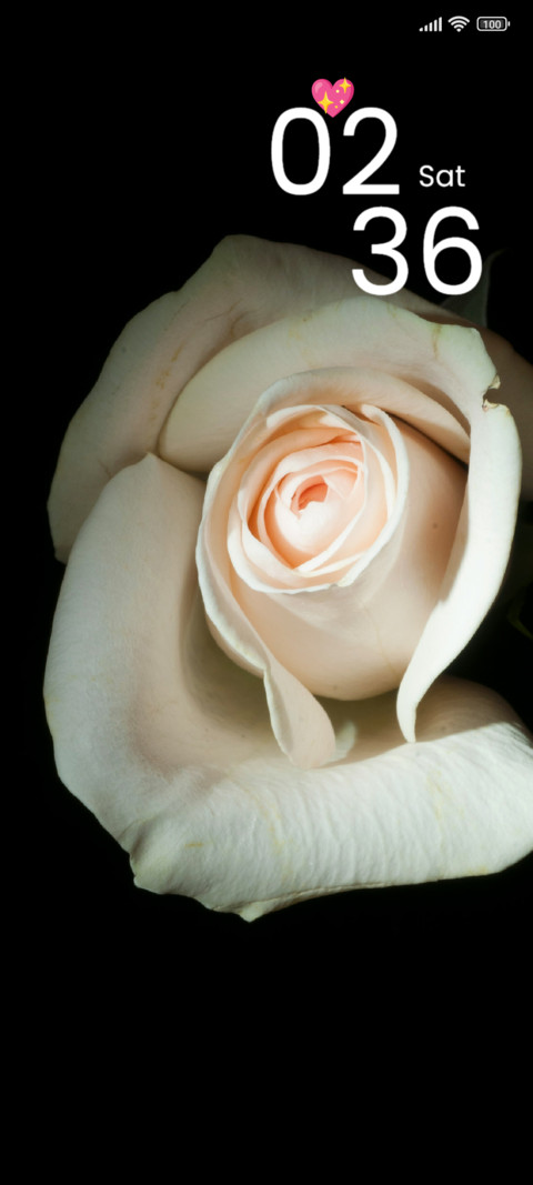 White Rose screenshot